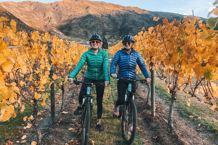 Bike The Wineries (Full-Day) - Bike & Wine Tour