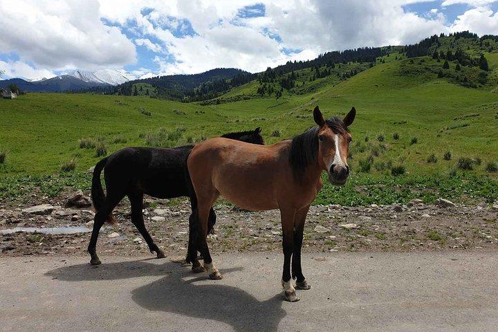 Almaty Region 3 Days Tour from Almaty