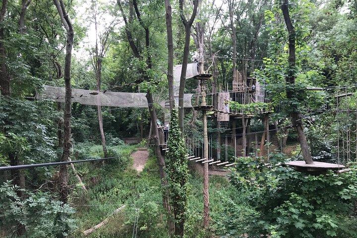 Tree Top Adventure in Rueil-Malmaison