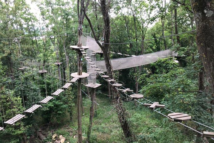 Tree Top Adventure in Rueil-Malmaison