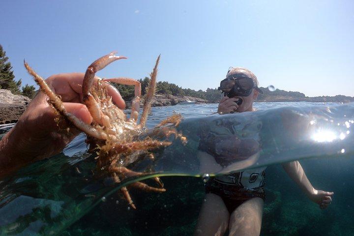 SNORKELING ADVENTURE | Pula Boat