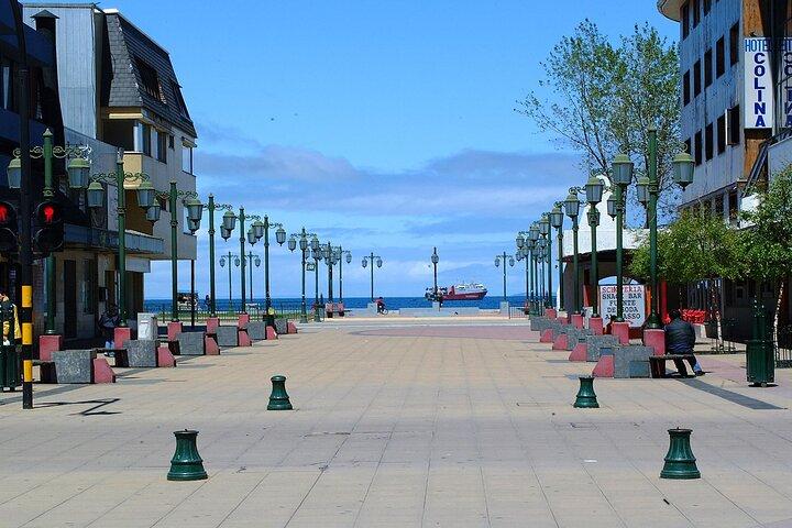 Sightseeing Tour in Puerto Varas & Puerto Montt
