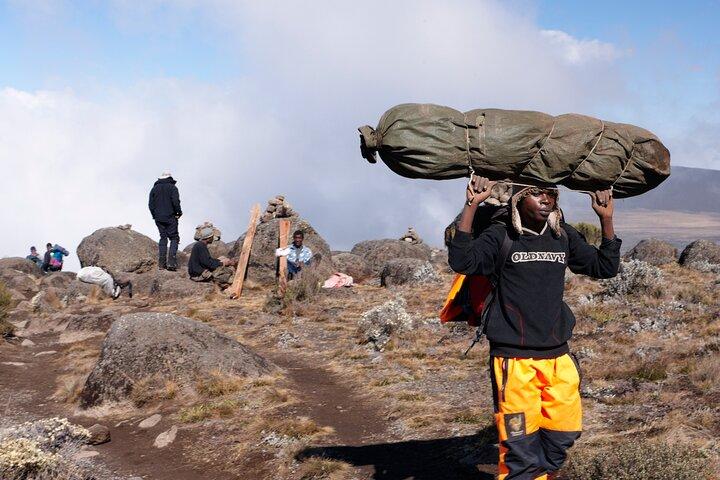 Private 8 day Northern Circuit Kilimanjaro Climb