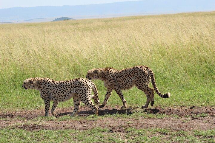 4-Day Safari to Ngorongoro crater and Serengeti