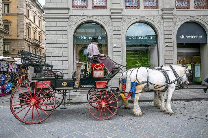 Best of Florence Full-Day Combo Tour including Uffizi & Accademia Galleries