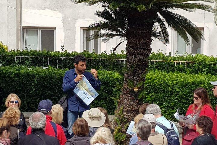 Private One Day Walking Tour of Capri with Guide