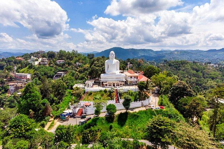Discover Kandy by Helicopter from Koggala