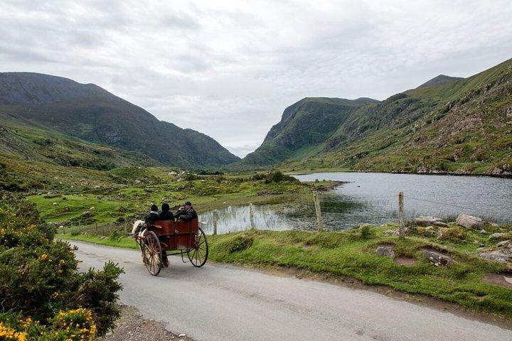 Ring of Kerry & Killarney tour departing from Cork City. Guided. Full Day.