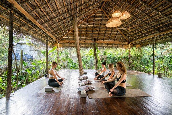 Meditation and Yoga Tour (5 Days)