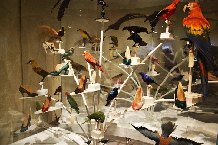 Ferragamo Museum in Florence