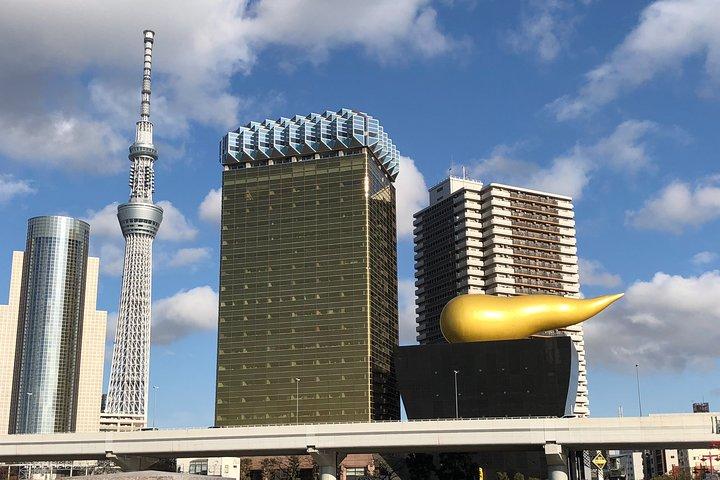Introductory Tokyo Tour for the first timers: learn basic Travel tips and tricks