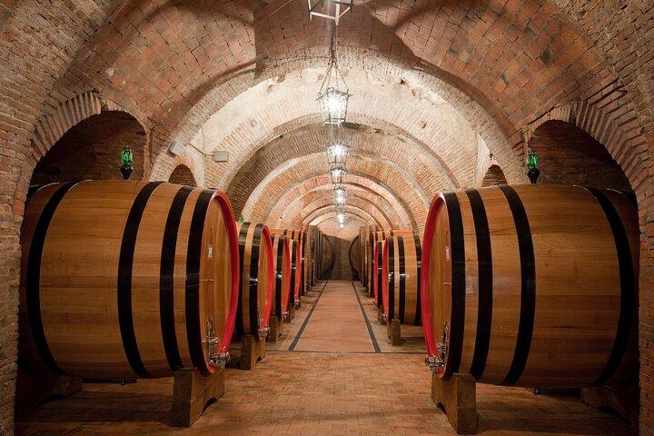 Montepulciano: Wine Tasting & Lunch in a typical winery
