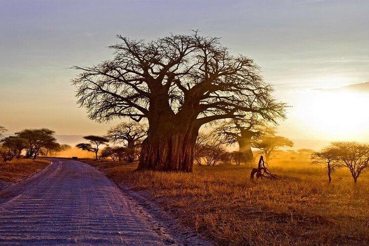 4-Day Mid-Range Lodge Group Tour