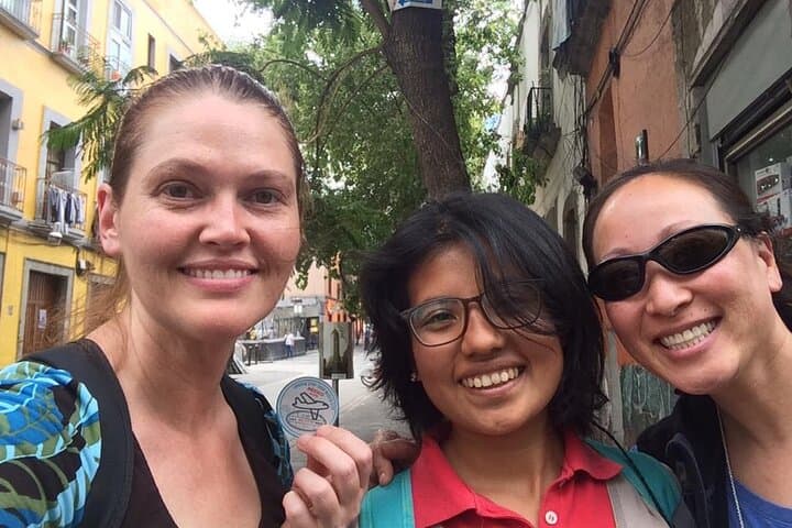 Mexico City Layover Tour: Downtown City Sightseeing