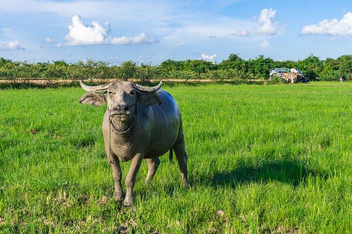 Siem Reap Countryside Sunset Jeep Tour / SUV Car Available
