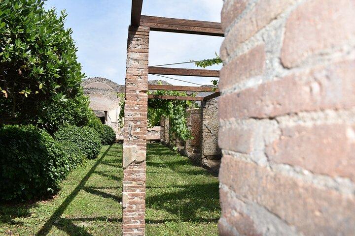 Private Pompeii & Herculaneum Archaeological sites tour from Rome