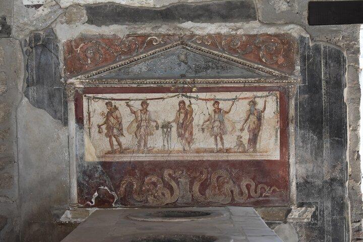 Private Pompeii & Herculaneum Archaeological sites tour from Rome