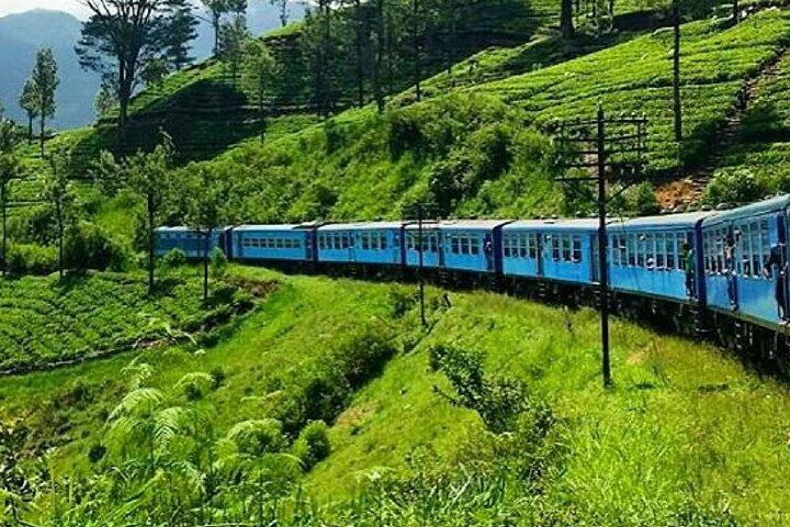 Excursion to Cultural Triangle by Train (8)