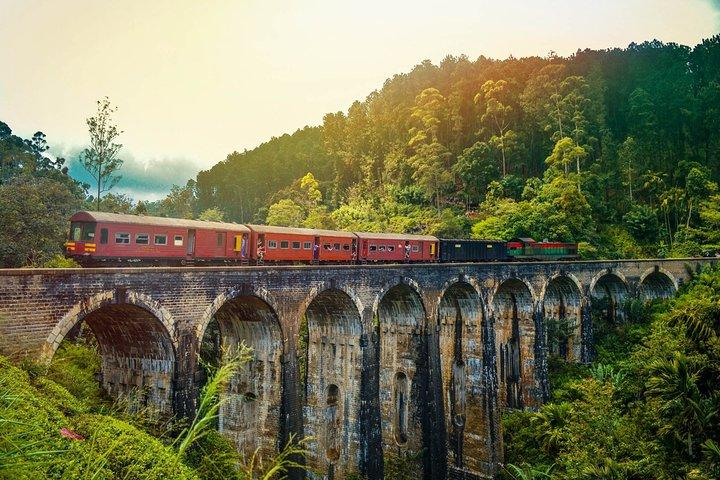 Excursion to Cultural Triangle by Train (8)