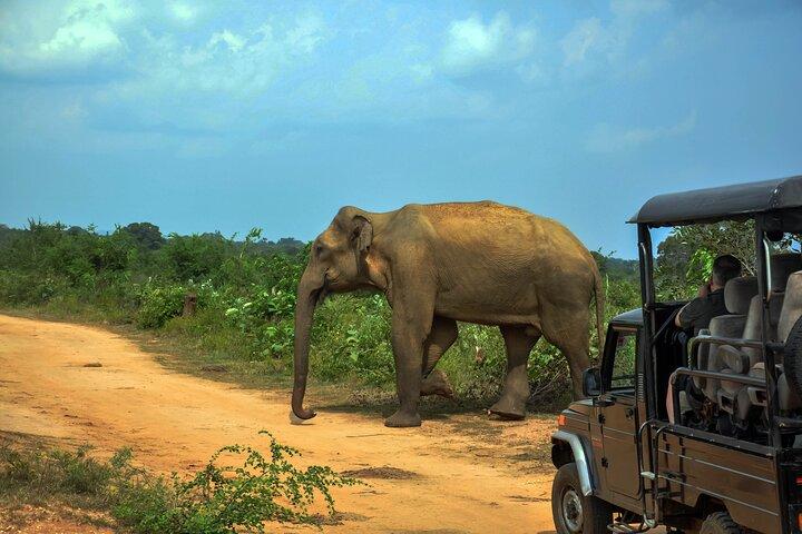 Udawalawe National Park Safari from Koggala