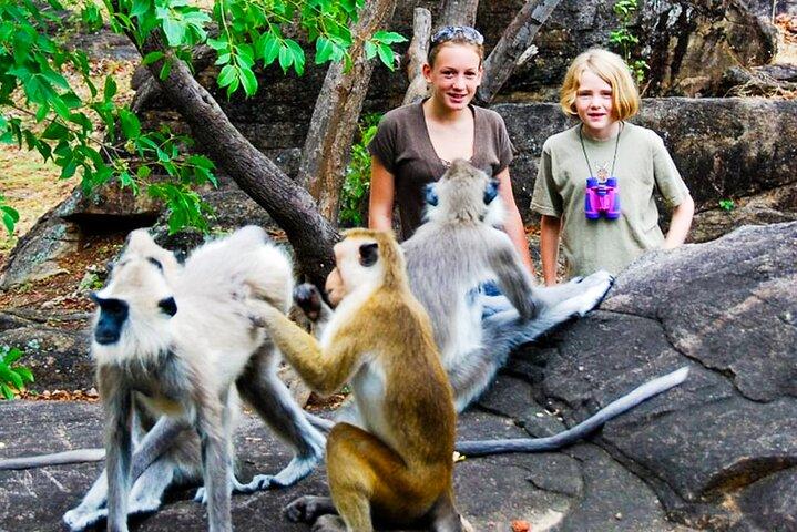 Explore Monkey Kingdom from Polonnaruwa