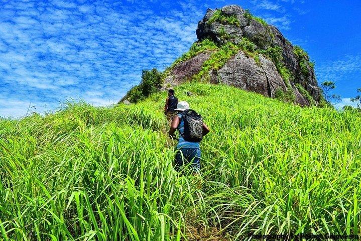 Saradiyel Village Trail And Alagalla Mountain Trekking Colombo