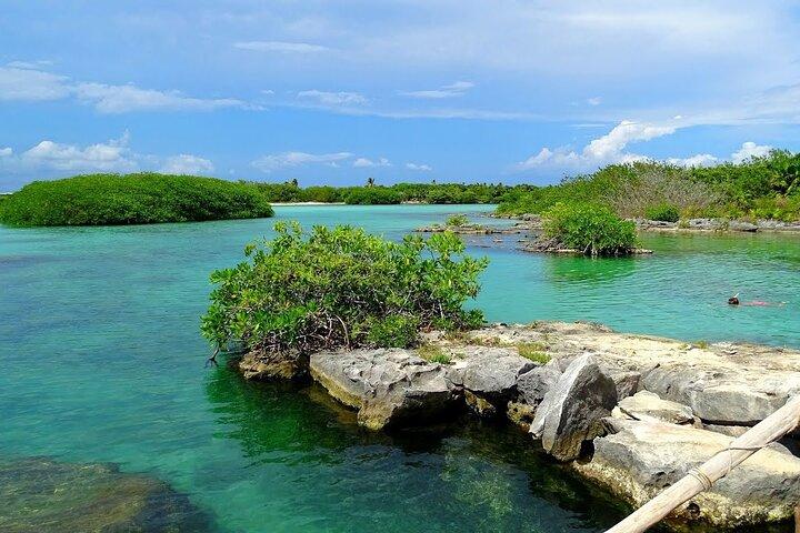 Swim in the beautiful Yalku & Cenote, includes transport & guide