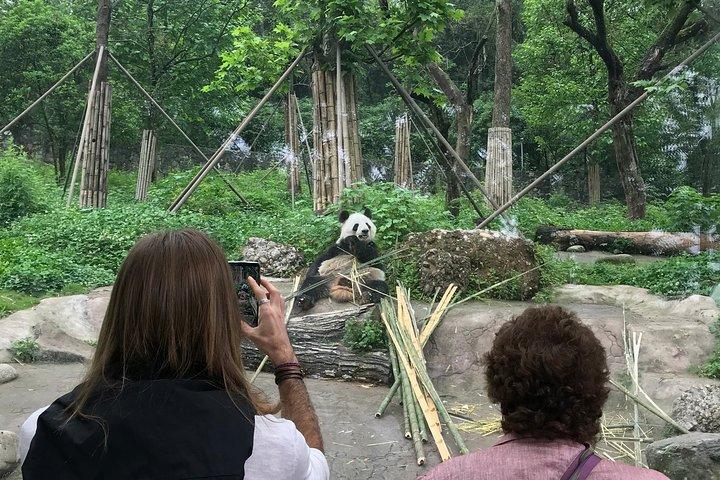 Chengdu Private Day Trip: the Research Base of Giant Panda & Leshan Giant Buddha