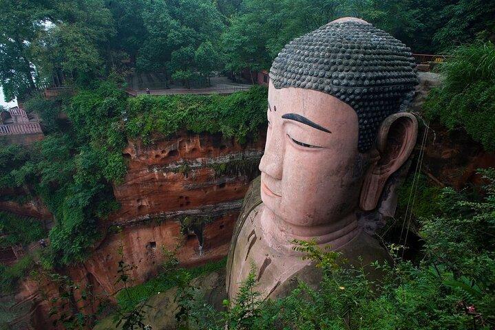 Chengdu Private Day Trip: the Research Base of Giant Panda & Leshan Giant Buddha