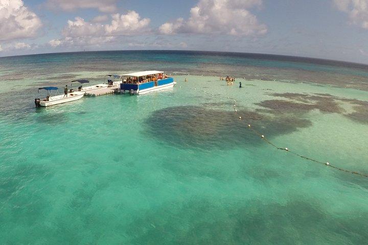 Stingray City