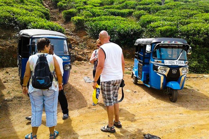 Tuk Tuk Adventure from Ella
