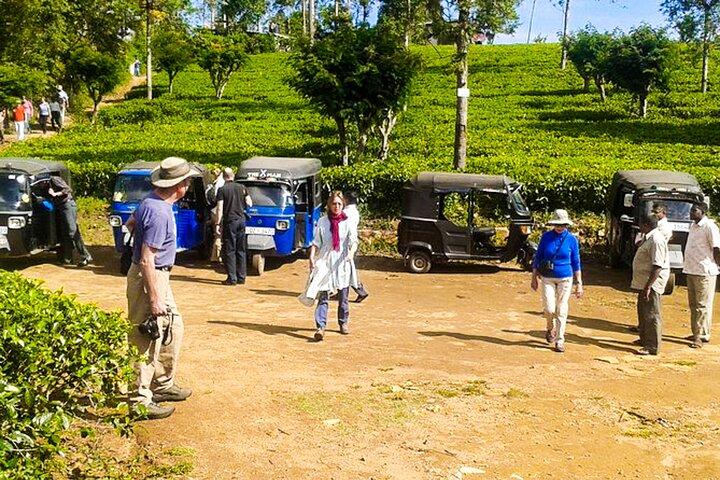 Tuk Tuk Adventure from Ella
