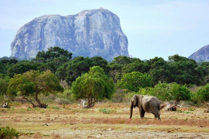 Instagram Tour of Sri Lanka (7 Days)