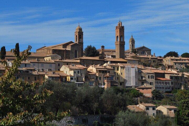 Siena Private Walking Tour With A Professional Guide
