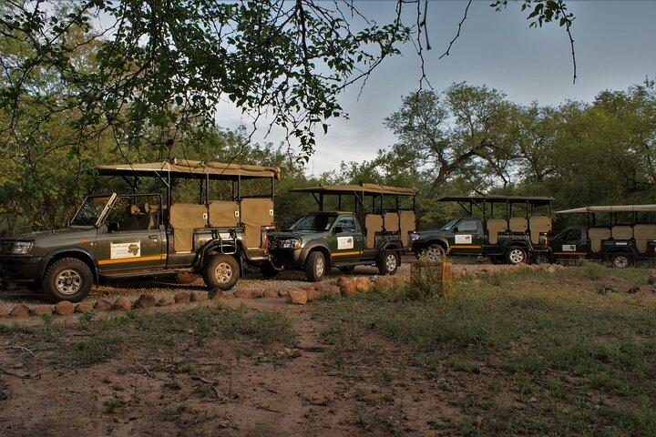 Fullday Gamedrives in Kruger National Park from Marlothpark