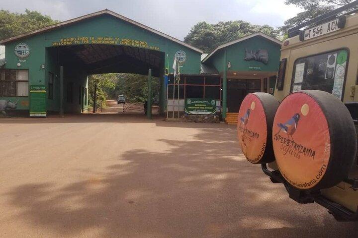 6-day Lake Manyara Serengeti Ngorongoro Crater and Tarangire