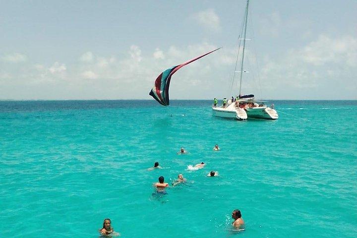 Catamaran to Isla Mujeres, Open bar, buffet, Beach Club Included