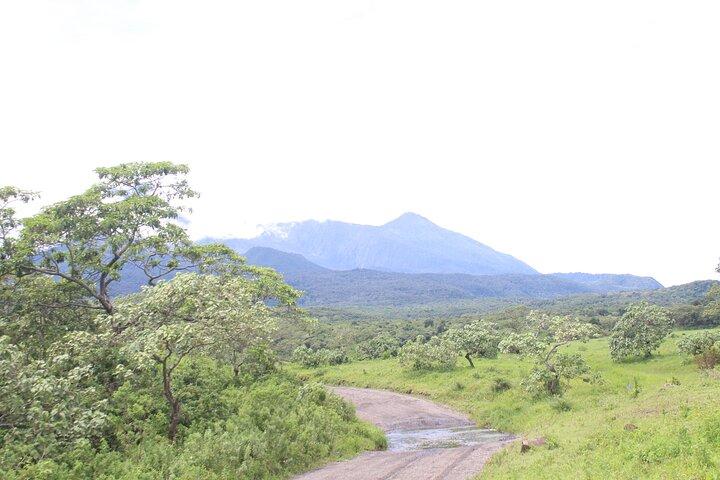 7-Day Tour in Lake Manyara, Serengeti Plains, Ngorongoro Crater and Tarangire