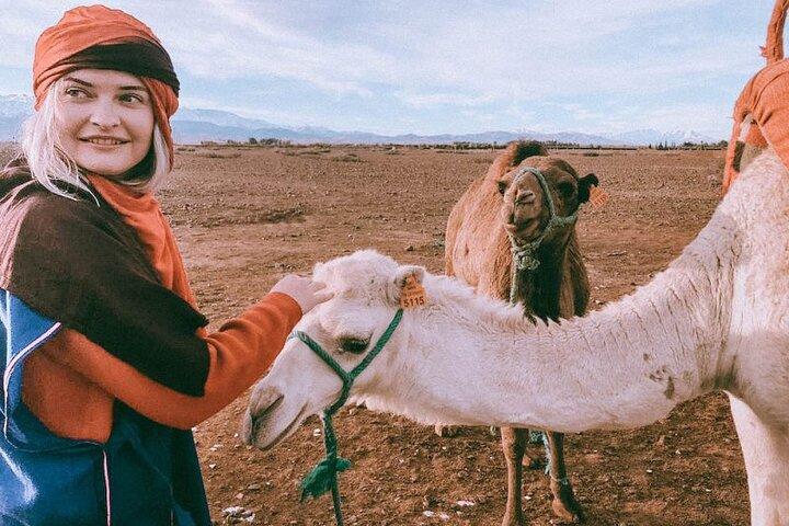 Premium Agafay Desert & Camel Safari Day Tour From Marakech