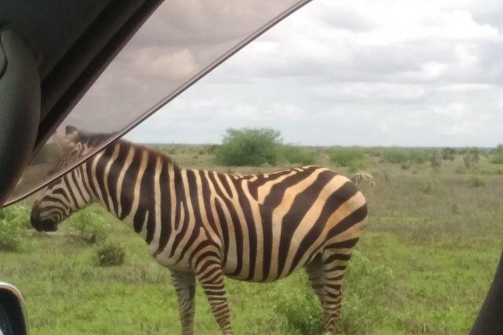 Great Migration safari