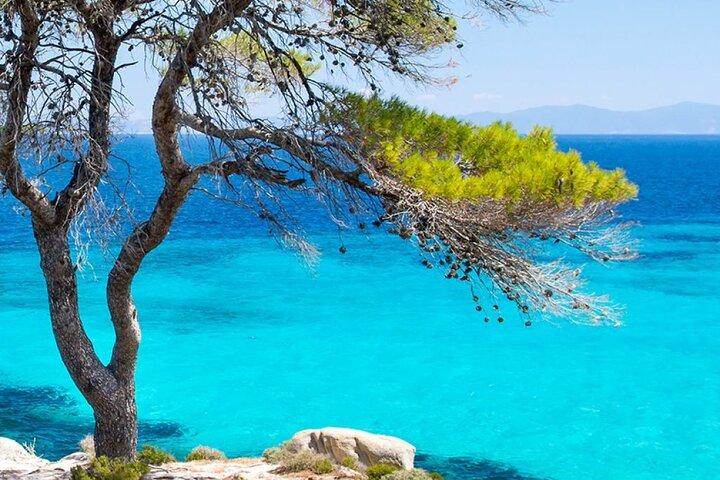 Hidden Beaches & Local Gems of Chalkidiki Private Tour