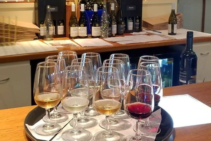 Luxury Private Auckland Wine & Beach Tour with Lunch