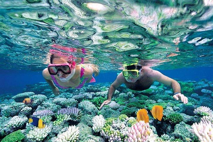 Discover Isla Mujeres in Catamaran. Buffet, Open Bar and Snorkel