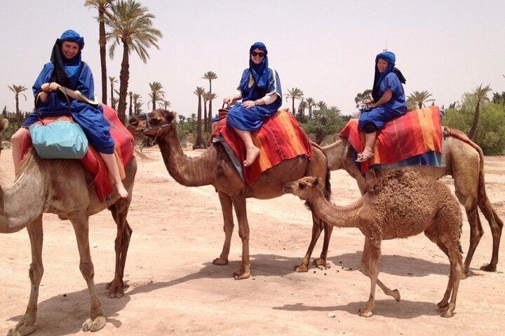 Marrakech Activities Bundle Discount 3 For 2
