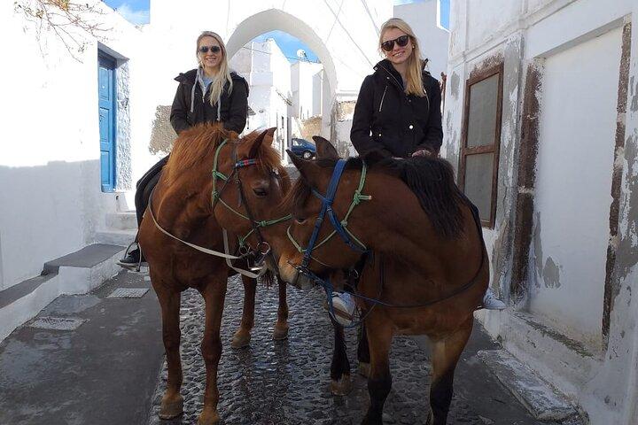 Santorini: Megalochori Horseback Riding Tour with Guide