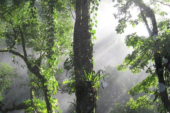 Agua Azul & Misol-Ha Day Tour ending in Palenque