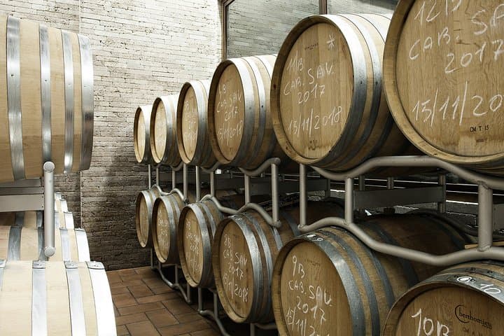 Small-Group Exclusive Winery and Wine Tasting Tour in Frascati