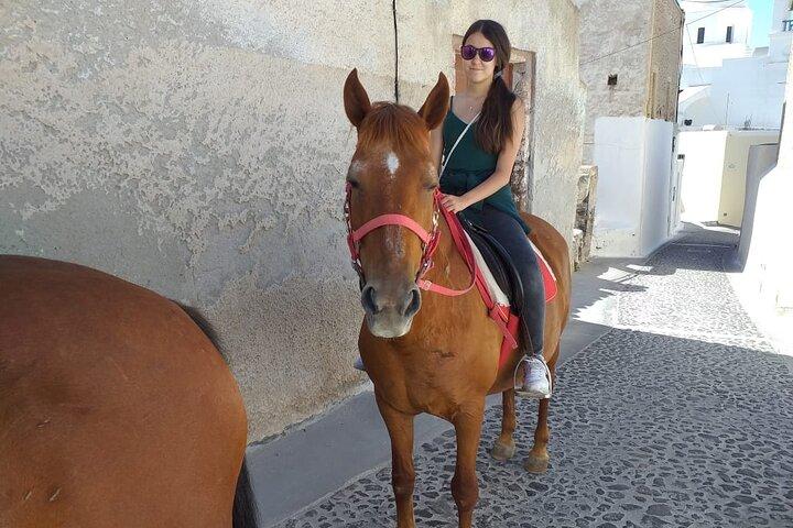 Santorini: Megalochori Horseback Riding Tour with Guide