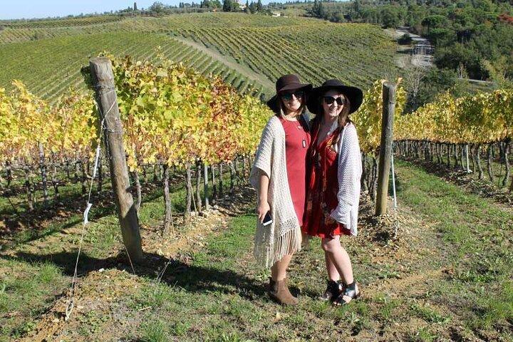 PRIVATE Half-Day Tour: Chianti Classico Wine Experience.