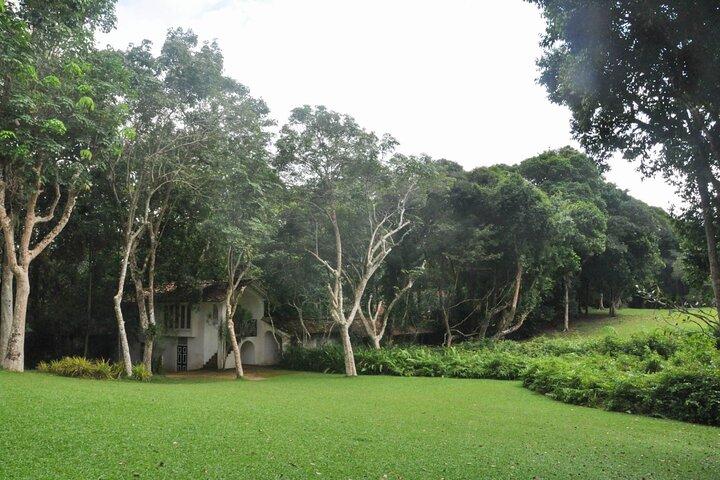 Bentota City Tour from Koggala
